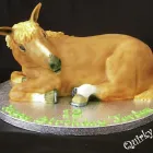 Business 29 image BIKES4FAMILIES Cycle Shops & Repairs in Farnborough Ha