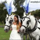 Business 4 image BIRMINGHAM & STAFFORDSHIRE CARRIAGES Transportation Services in Walsall We