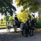 Business 8 image BIRMINGHAM & STAFFORDSHIRE CARRIAGES Transportation Services in Walsall We