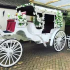Business 9 image BIRMINGHAM & STAFFORDSHIRE CARRIAGES Transportation Services in Walsall We