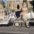 Business 10 image BIRMINGHAM & STAFFORDSHIRE CARRIAGES Transportation Services in Walsall We