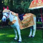 Business 18 image BIRMINGHAM & STAFFORDSHIRE CARRIAGES Transportation Services in Walsall We