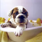 Business 15 image BKA (UK) LTD Computer Networking & Cabling in Reading Be