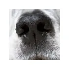 Business 16 image BKA (UK) LTD Computer Networking & Cabling in Reading Be