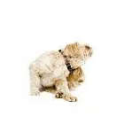 Business 17 image BKA (UK) LTD Computer Networking & Cabling in Reading Be