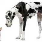 Business 3 image BKA (UK) LTD Computer Networking & Cabling in Reading Be