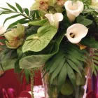 Business 3 image BLOEMEN ECKE LTD Florists in Edinburgh Mi