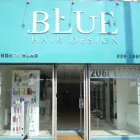 Business 9 image BLUE HAIR DESIGN LTD Hairdressers in Cardiff So