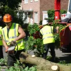 Business 16 image BLUE INC Fashion Accessories in Carlisle Cu