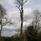 Business 17 image BLUE INC Fashion Accessories in Carlisle Cu