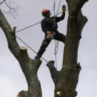 Business 3 image BLUE INC Fashion Accessories in Carlisle Cu