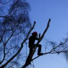 Business 4 image BLUE INC Fashion Accessories in Carlisle Cu