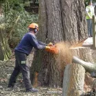 Business 7 image BLUE INC Fashion Accessories in Carlisle Cu