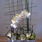 Business 1 image BODY MAGIQUE Complementary Therapies in Salford La