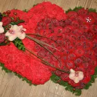 Business 3 image BODY MAGIQUE Complementary Therapies in Salford La