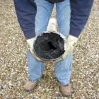 Business 7 image BOUND BIOGRAPHIES LTD Publishers & Publications in Bicester Ox