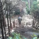 Business 5 image BOURNEMOUTH GARDEN FENCE COMPANY Tree Services in Bournemouth Do