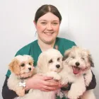 Business 1 image BRAID VETS HOSPITAL Veterinary Services in Edinburgh Edh