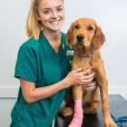 Business 4 image BRAID VETS HOSPITAL Veterinary Services in Edinburgh Edh