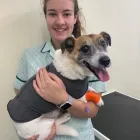 Business 9 image BRAID VETS HOSPITAL Veterinary Services in Edinburgh Edh