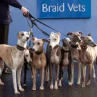 Business 19 image BRAID VETS HOSPITAL Veterinary Services in Edinburgh Edh