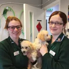 Business 24 image BRAID VETS HOSPITAL Veterinary Services in Edinburgh Edh