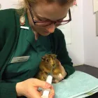 Business 28 image BRAID VETS HOSPITAL Veterinary Services in Edinburgh Edh