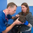 Business 8 image BRAID VETS, LEITH WALK Veterinary Services in Edinburgh Edh