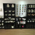 Business 6 image BRANCHIES BUNCHES FLORIST Shopping & Retail in Birmingham We