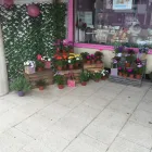 Business 14 image BRANCHIES BUNCHES FLORIST Shopping & Retail in Birmingham We
