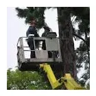 Business 4 image BRIDGEMARK SERVICES Electricians & Electrical Contractors in Dover Ke