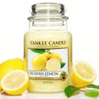 Business 12 image BRIDGETTES FLOWERS (UK) LTD Florists in Manchester La