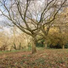 Business 4 image BRIGHT HORIZONS INGLEWOOD DAY NURSERY AND PRESCHOOL Preschools in Reading Be