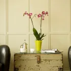 Business 6 image BROOKS GUESTHOUSE BRISTOL Hotels & Inns in Bristol Av