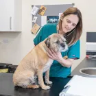 Business 4 image BROOM COTTAGE VETERINARY SURGERY Veterinary Services in Wilmslow Ch