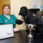 Business 17 image BROOM COTTAGE VETERINARY SURGERY Veterinary Services in Wilmslow Ch