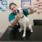 Business 25 image BROOM COTTAGE VETERINARY SURGERY Veterinary Services in Wilmslow Ch