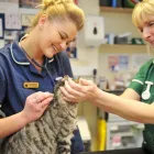 Business 27 image BROOM COTTAGE VETERINARY SURGERY Veterinary Services in Wilmslow Ch