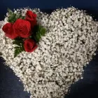 Business 4 image BRUNEL FUNERAL DIRECTORS Transportation Services in Bristol Br
