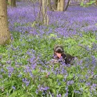 Business 3 image BUDDIES N WALKIES Pets & Animals in Coventry We