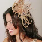 Business 10 image C.R.A JOY & SON Bricklayers in Ringwood Ha