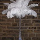 Business 24 image C.W WINDOW CLEANING SERVICES Window Cleaners in Reading Be