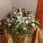 Business 6 image C.W WINDOW CLEANING SERVICES Window Cleaners in Reading Be