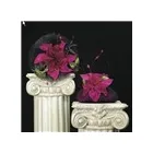 Business 4 image CALLANDERS BEDS Beds & Bedding in Glasgow La