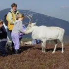 Business 1 image CAMBERLEY AUTO FACTORS LTD Motor Factors in Radstock Av