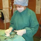 Business 10 image CARMEL VETERINARY CENTRE Vets in Wolverhampton We