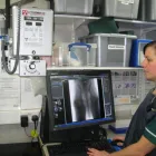 Business 12 image CARMEL VETERINARY CENTRE Vets in Wolverhampton We