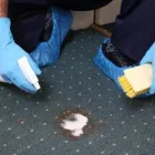 Business 3 image CARPET CLEANING RICHMOND Upholstery Cleaners in Hounslow Mi