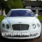 Business 8 image CDC WEDDING CARS STOCKPORT Wedding Services in Stockport Gr