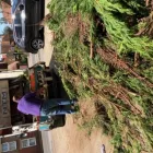 Business 1 image CDDL RECYCLING Wood Products in Sheerness Ke